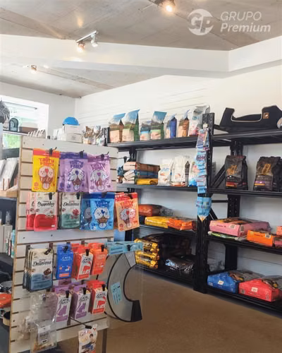 Venta derecho Llaves de Peluquería Canina Tienda de Mascotas