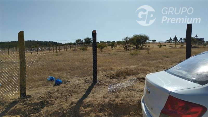 Parcela/Venta en Mallermo- Marchigue - Imagen 10