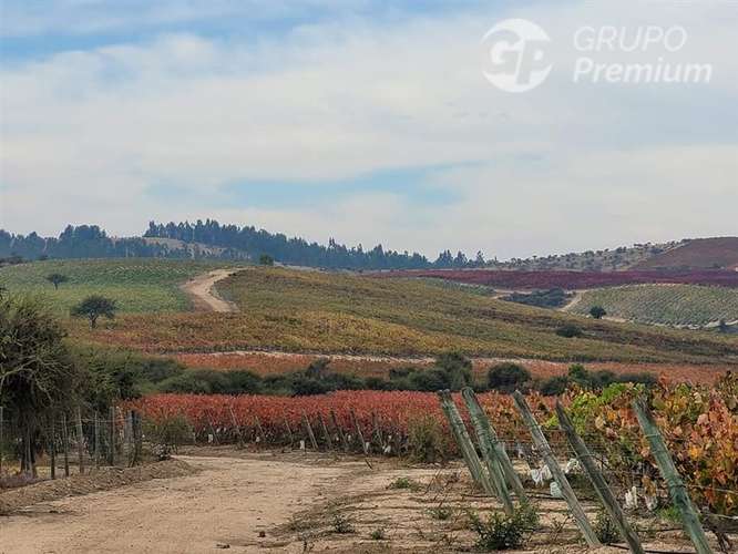 Parcela/Venta en Mallermo- Marchigue - Imagen 1