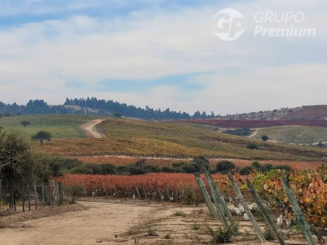 Parcela/Venta en Mallermo- Marchigue