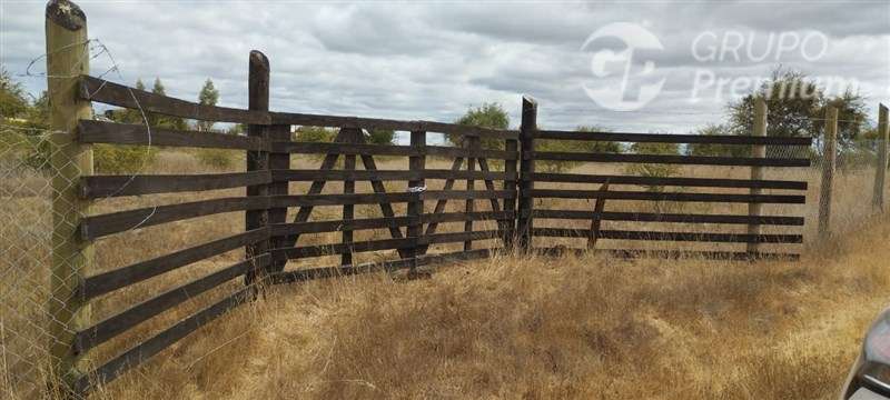Parcela/Venta en Mallermo- Marchigue - Imagen 7