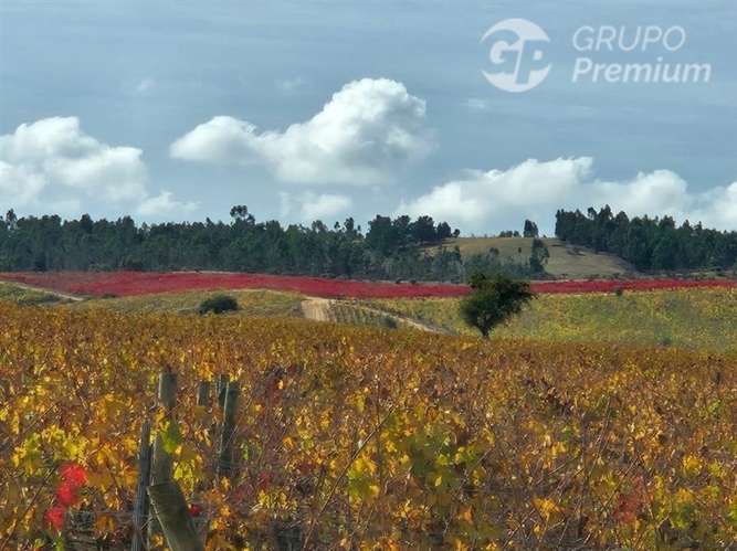 Parcela/Venta en Mallermo- Marchigue - Imagen 2
