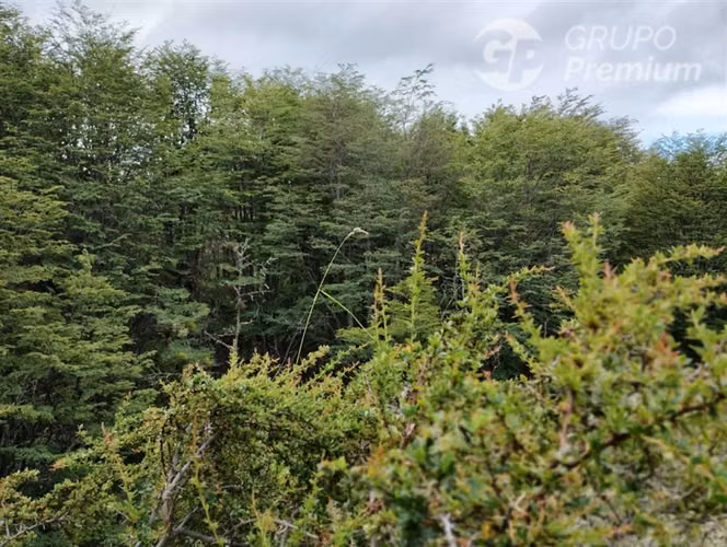 Parcela en venta en Km 33 Sur de Punta Arenas