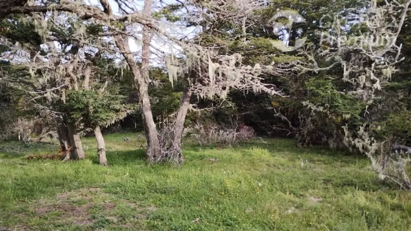 Parcela en venta en Km 33 Sur de Punta Arenas