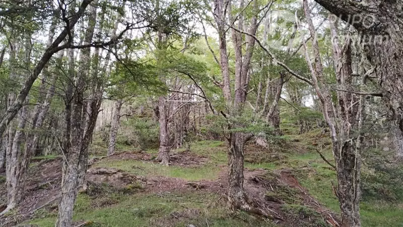 Parcela en venta en Km 33 Sur de Punta Arenas