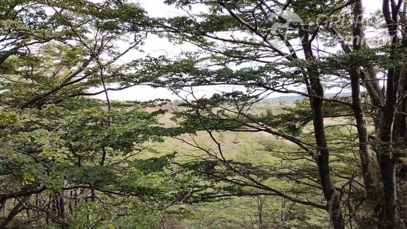 Parcela en venta en Km 33 Sur de Punta Arenas