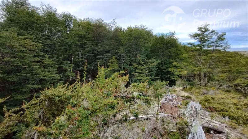 Parcela en venta en Km 33 Sur de Punta Arenas