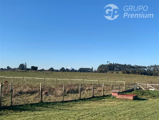 Terreno Construccion  en Venta en Los Muermos