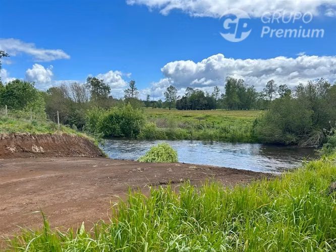 Parcela en venta en Río Bueno - Imagen 12