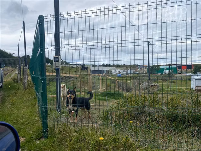 Parcela en venta en Punta Arenas - Imagen 2