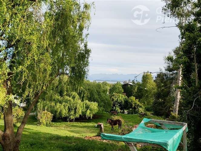 Sitio en venta a 7km de Futrono