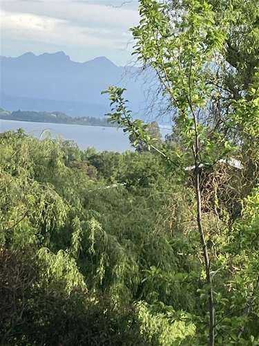 Sitio en venta a 7km de Futrono