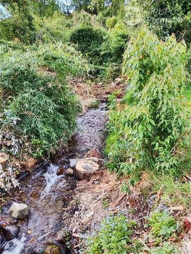 Sitio en venta a 7km de Futrono