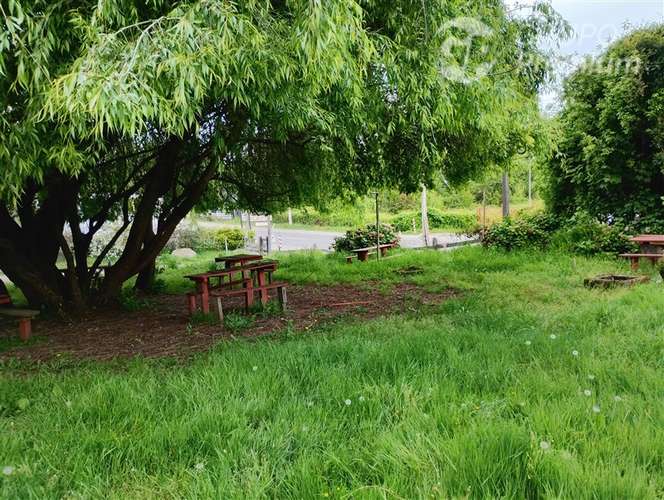 Sitio en venta a 7km de Futrono