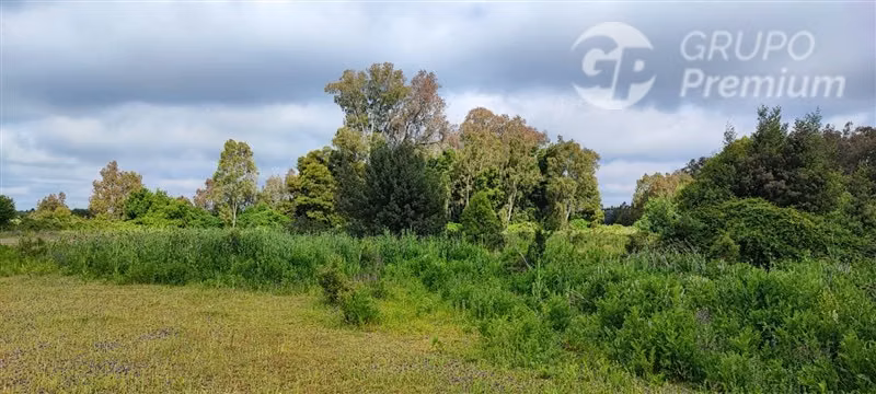 Sitio en venta en Pemuco - Imagen 5