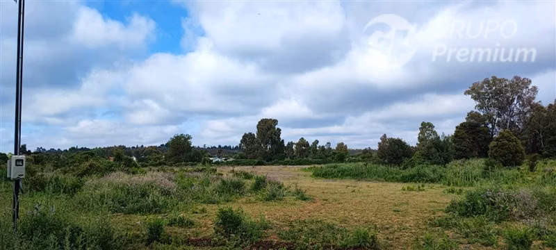 Sitio en venta en Pemuco - Imagen 2