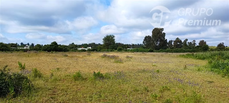 Sitio en venta en Pemuco - Imagen 4