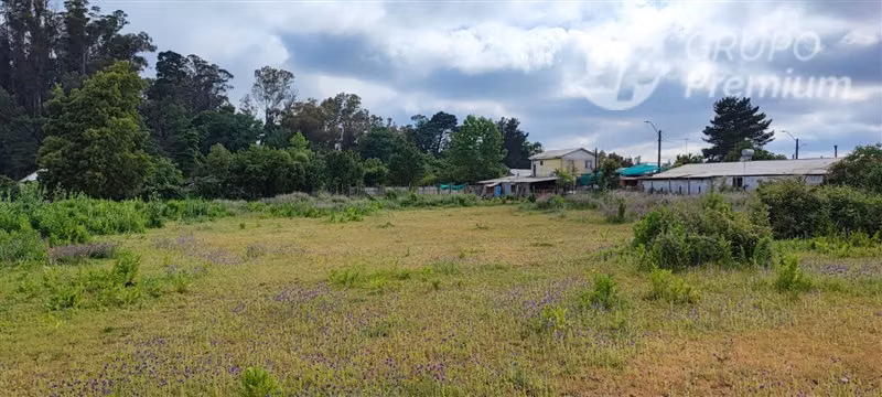 Sitio en venta en Pemuco