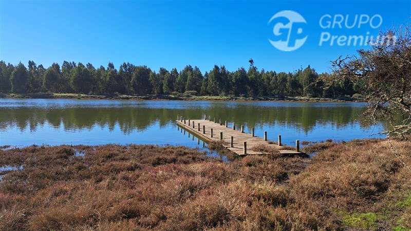 Venta Parcela/casa junto a Reserva Nacional El Yali - Imagen 4