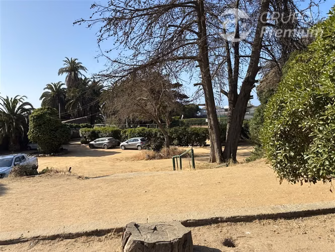 Local Comercial en venta en Papudo