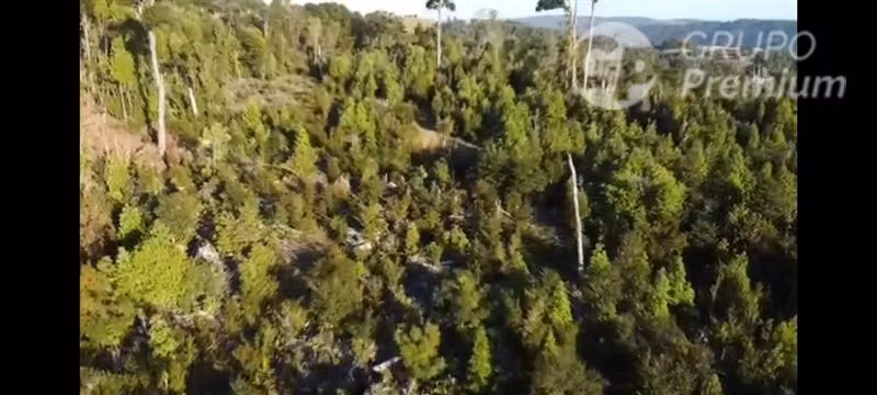 Parcela en venta en Los Muermos