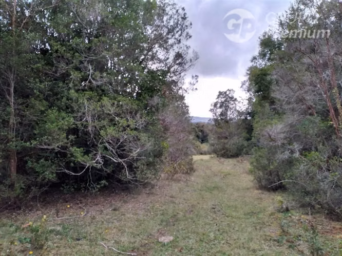 Parcela en venta en Fresia