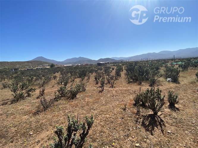 Sitio en venta en La Serena - Imagen 12