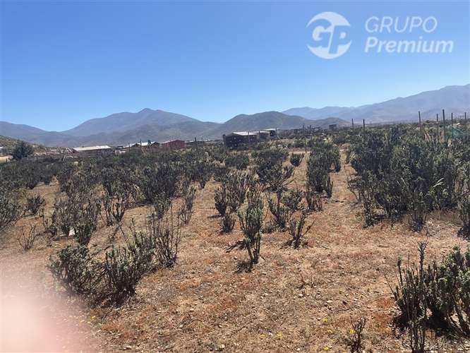 Sitio en venta en La Serena - Imagen 16