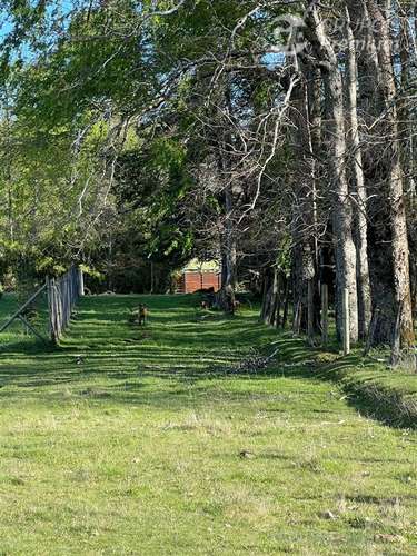 Parcela en venta en Villarrica - Imagen 4