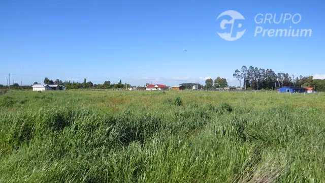 Parcelas en venta sector Los Yugos pasado puente Pelales