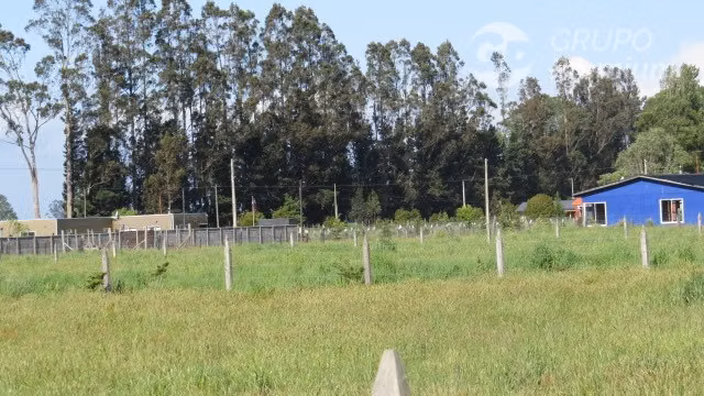 Parcelas en venta sector Los Yugos pasado puente Pelales