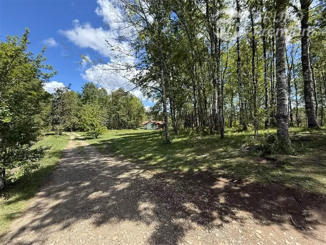 Venta- Preservación-Villarrica- 16 héctareas