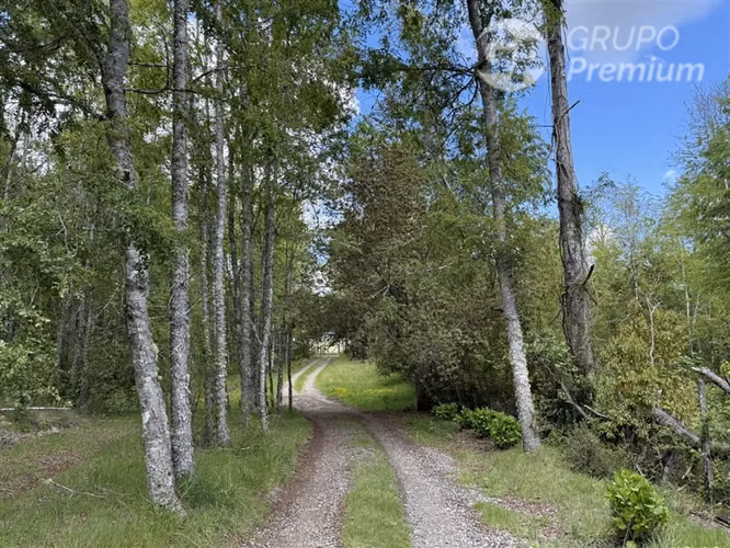 Venta- Preservación-Villarrica- 16 héctareas