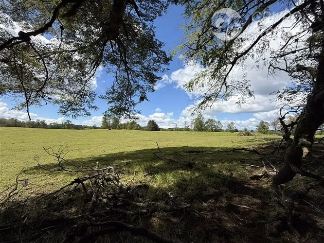 Venta- Preservación-Villarrica- 16 héctareas