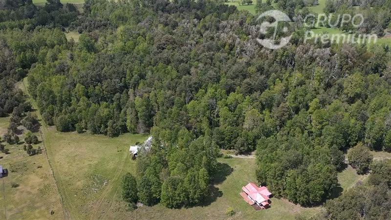 Venta- Preservación-Villarrica- 16 héctareas
