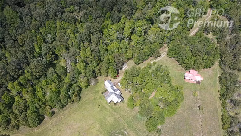 Venta- Preservación-Villarrica- 16 héctareas