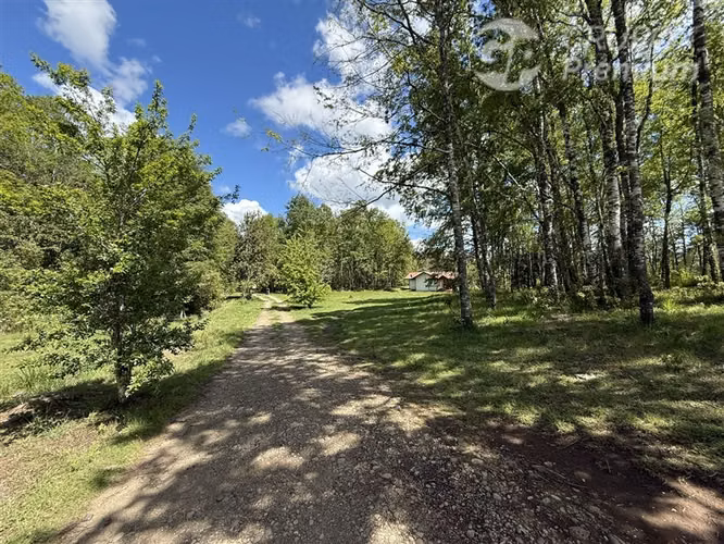 Venta- Preservación-Villarrica- 16 héctareas