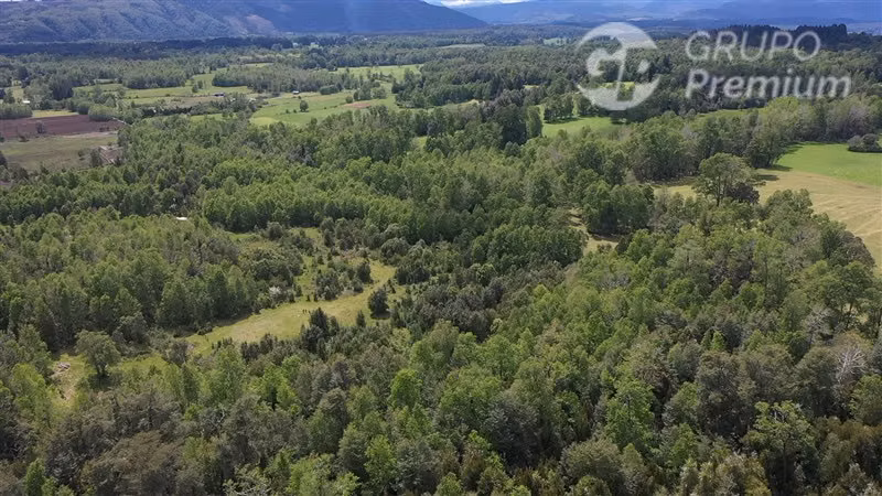 Venta- Preservación-Villarrica- 16 héctareas