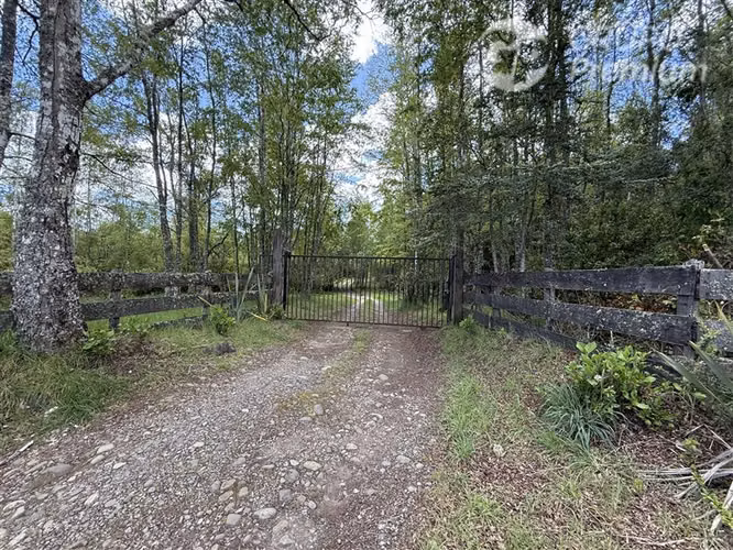 Venta- Preservación-Villarrica- 16 héctareas