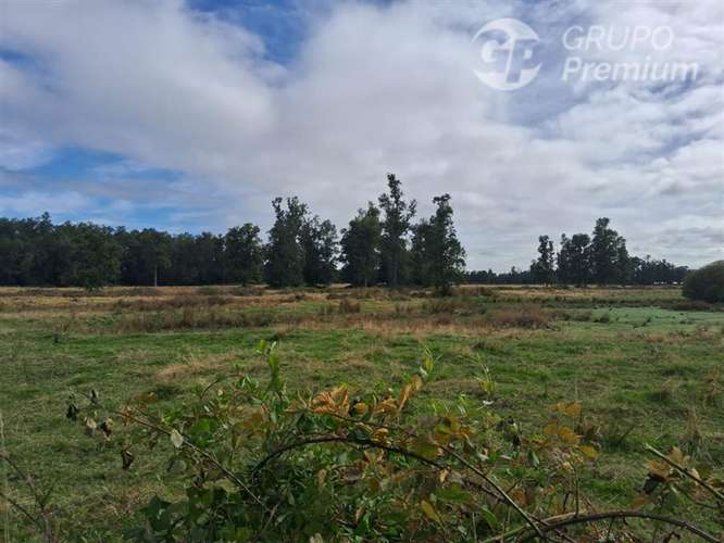 Parcela en venta en Osorno - Imagen 3
