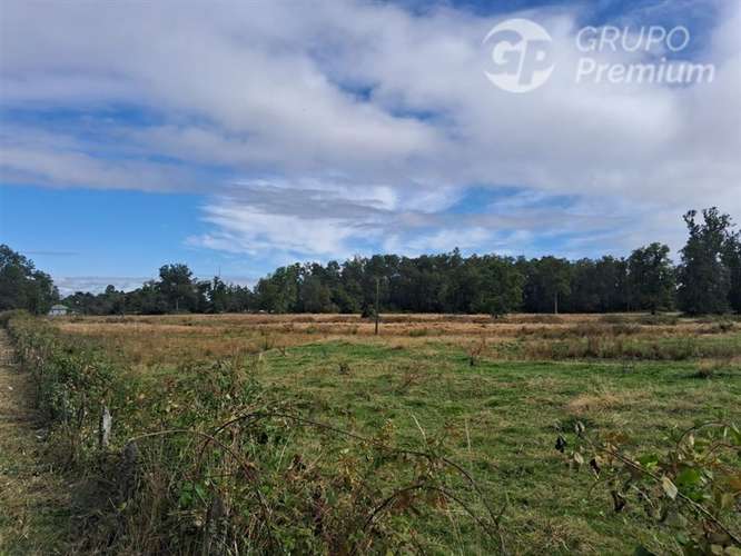Parcela en venta en Osorno - Imagen 4