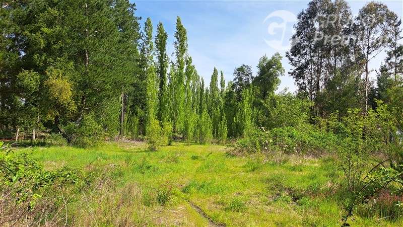 Parcela en venta. Los Ángeles Bio Bio. - Imagen 10