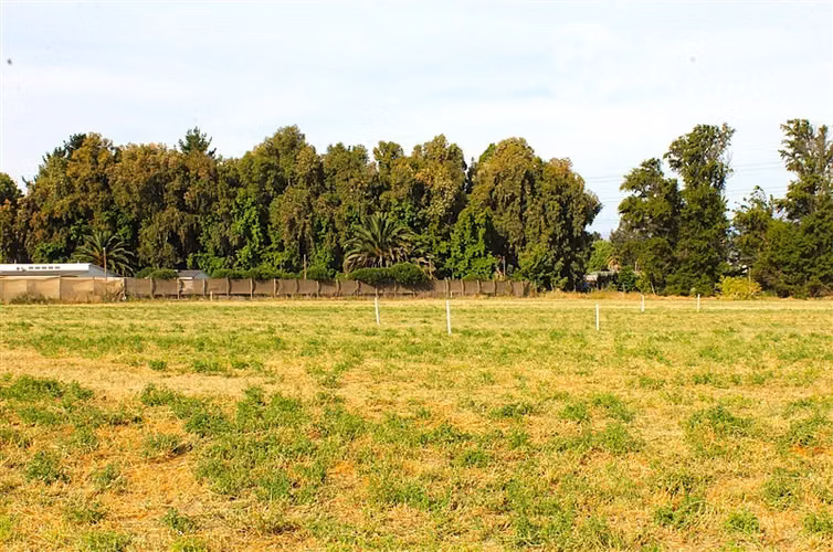 Excelente Terreno Champa
