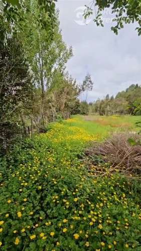 Parcela en venta en Ancud - Imagen 15