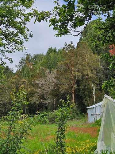 Parcela en venta en Ancud - Imagen 8
