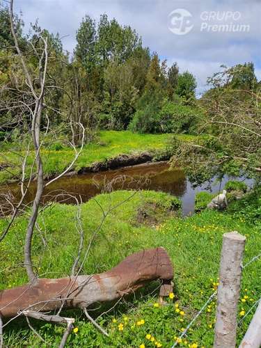 Parcela en venta en Ancud - Imagen 12