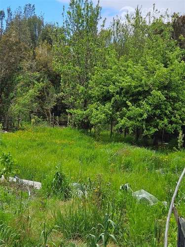 Parcela en venta en Ancud - Imagen 2