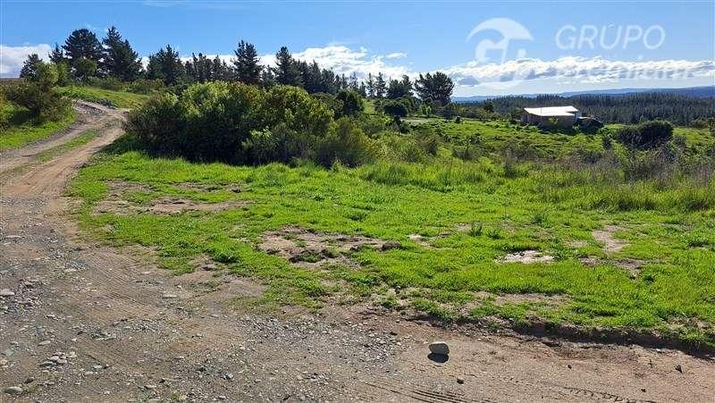 Parcela en venta a solo 8 Km. de la ciudad de Laja. - Imagen 2