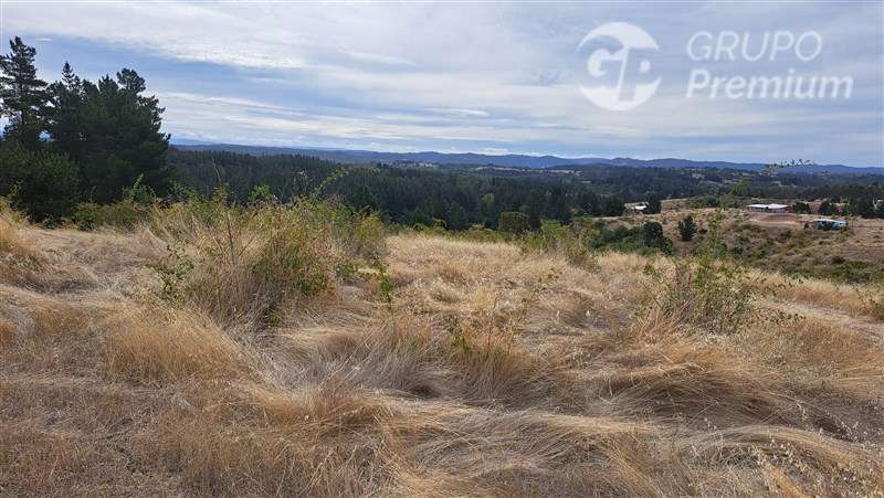 Parcela en venta a solo 8 Km. de la ciudad de Laja. - Imagen 10