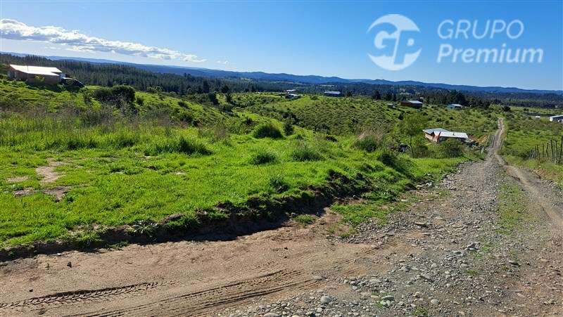 Parcela en venta a solo 8 Km. de la ciudad de Laja. - Imagen 3